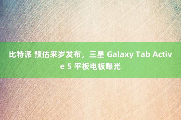 比特派 预估来岁发布，三星 Galaxy Tab Active 5 平板电板曝光