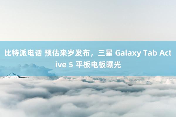 比特派电话 预估来岁发布，三星 Galaxy Tab Active 5 平板电板曝光