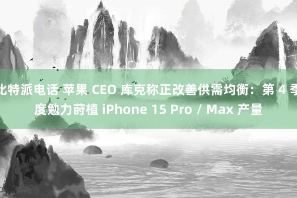 比特派电话 苹果 CEO 库克称正改善供需均衡：第 4 季度勉力莳植 iPhone 15 Pro / Max 产量