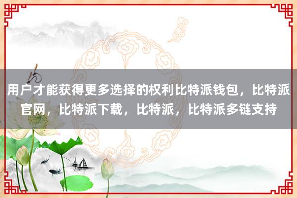 用户才能获得更多选择的权利比特派钱包，比特派官网，比特派下载，比特派，比特派多链支持