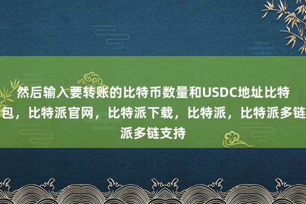 然后输入要转账的比特币数量和USDC地址比特派钱包，比特派官网，比特派下载，比特派，比特派多链支持