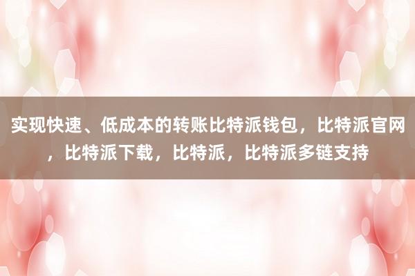 实现快速、低成本的转账比特派钱包，比特派官网，比特派下载，比特派，比特派多链支持