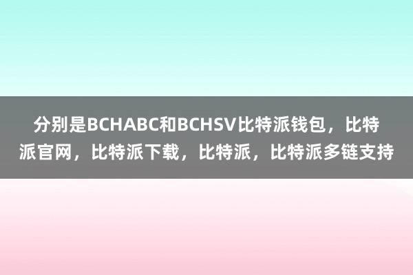 分别是BCHABC和BCHSV比特派钱包，比特派官网，比特派下载，比特派，比特派多链支持