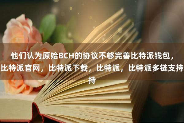 他们认为原始BCH的协议不够完善比特派钱包，比特派官网，比特派下载，比特派，比特派多链支持