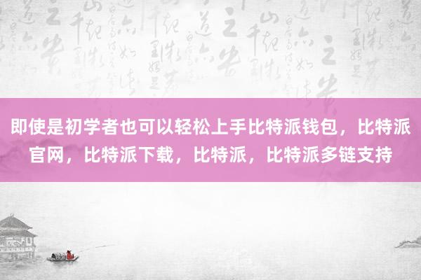 即使是初学者也可以轻松上手比特派钱包，比特派官网，比特派下载，比特派，比特派多链支持