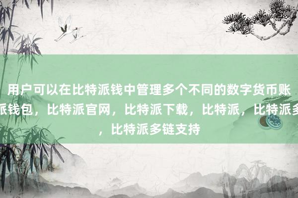 用户可以在比特派钱中管理多个不同的数字货币账户比特派钱包，比特派官网，比特派下载，比特派，比特派多链支持