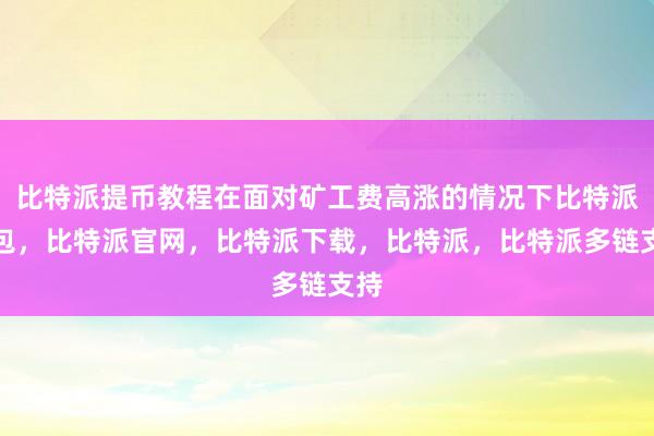 比特派提币教程在面对矿工费高涨的情况下比特派钱包，比特派官网，比特派下载，比特派，比特派多链支持