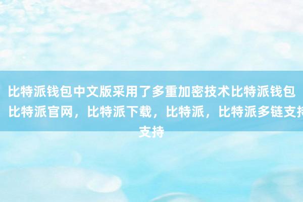 比特派钱包中文版采用了多重加密技术比特派钱包，比特派官网，比特派下载，比特派，比特派多链支持