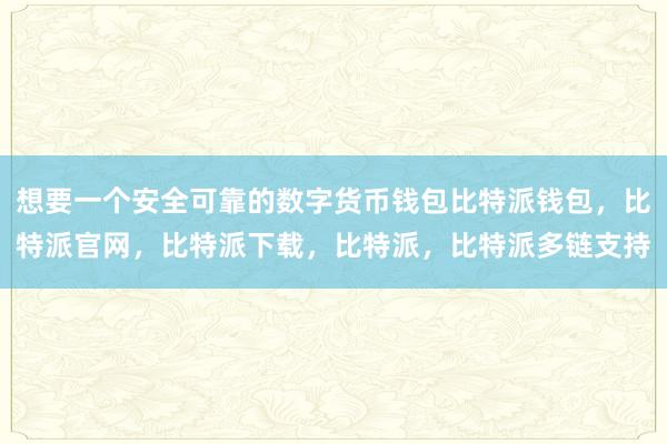 想要一个安全可靠的数字货币钱包比特派钱包，比特派官网，比特派下载，比特派，比特派多链支持