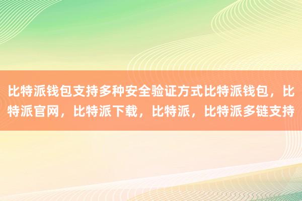 比特派钱包支持多种安全验证方式比特派钱包，比特派官网，比特派下载，比特派，比特派多链支持