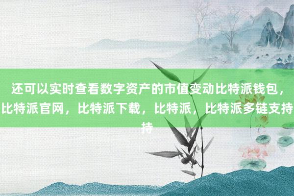 还可以实时查看数字资产的市值变动比特派钱包，比特派官网，比特派下载，比特派，比特派多链支持