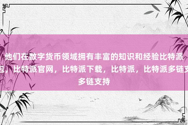 他们在数字货币领域拥有丰富的知识和经验比特派钱包，比特派官网，比特派下载，比特派，比特派多链支持