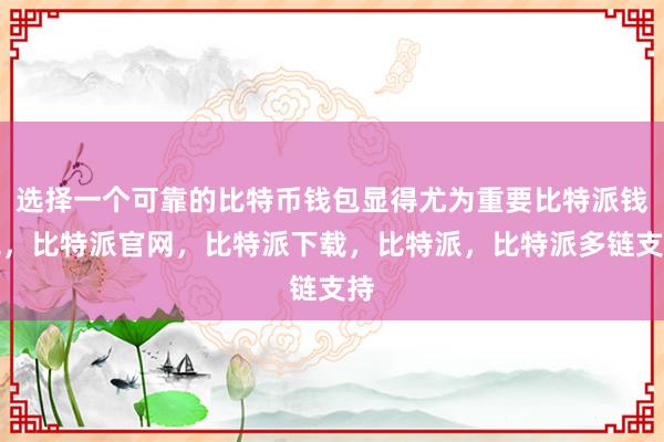 选择一个可靠的比特币钱包显得尤为重要比特派钱包，比特派官网，比特派下载，比特派，比特派多链支持