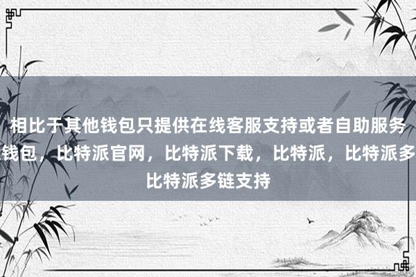 相比于其他钱包只提供在线客服支持或者自助服务比特派钱包，比特派官网，比特派下载，比特派，比特派多链支持