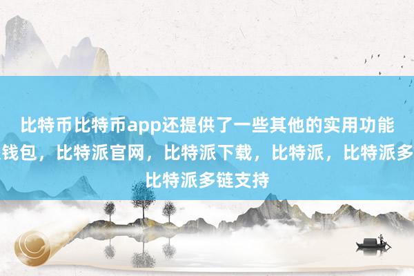 比特币比特币app还提供了一些其他的实用功能比特派钱包，比特派官网，比特派下载，比特派，比特派多链支持