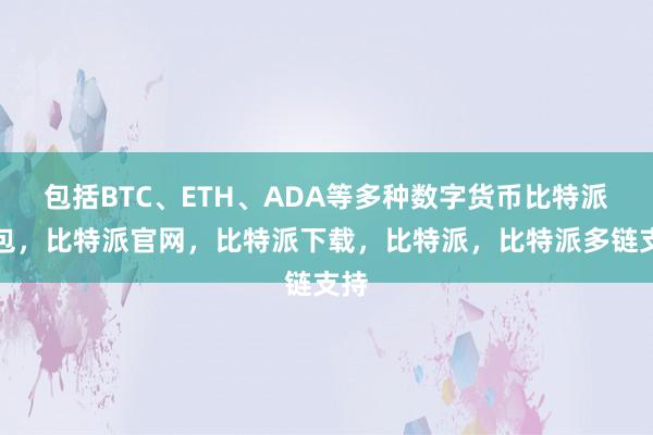 包括BTC、ETH、ADA等多种数字货币比特派钱包，比特派官网，比特派下载，比特派，比特派多链支持