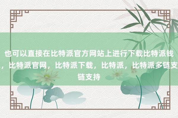 也可以直接在比特派官方网站上进行下载比特派钱包，比特派官网，比特派下载，比特派，比特派多链支持