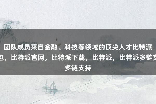 团队成员来自金融、科技等领域的顶尖人才比特派钱包，比特派官网，比特派下载，比特派，比特派多链支持