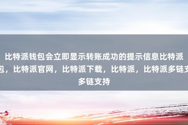 比特派钱包会立即显示转账成功的提示信息比特派钱包，比特派官网，比特派下载，比特派，比特派多链支持