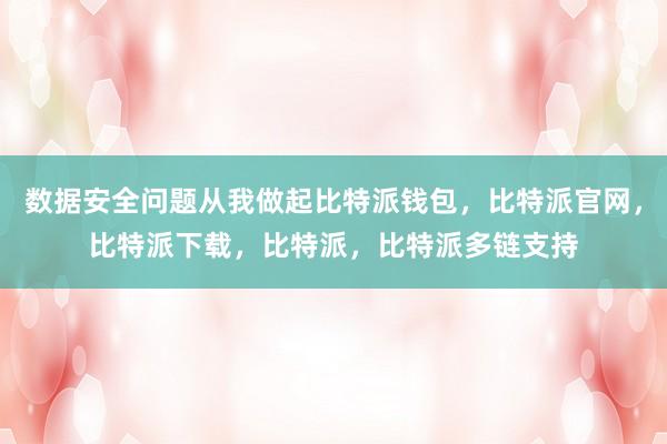 数据安全问题从我做起比特派钱包，比特派官网，比特派下载，比特派，比特派多链支持