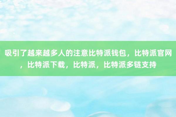 吸引了越来越多人的注意比特派钱包，比特派官网，比特派下载，比特派，比特派多链支持