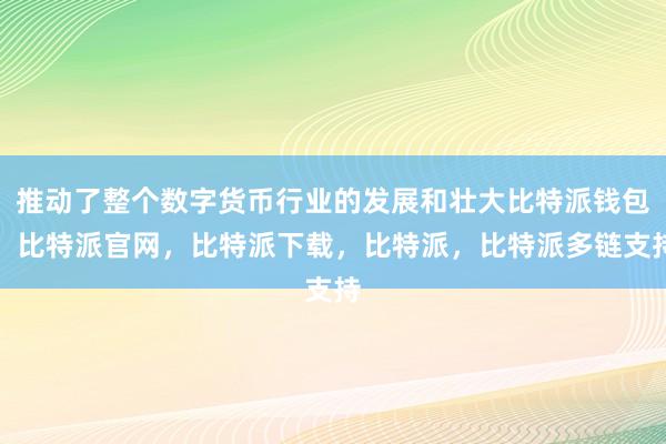 推动了整个数字货币行业的发展和壮大比特派钱包，比特派官网，比特派下载，比特派，比特派多链支持