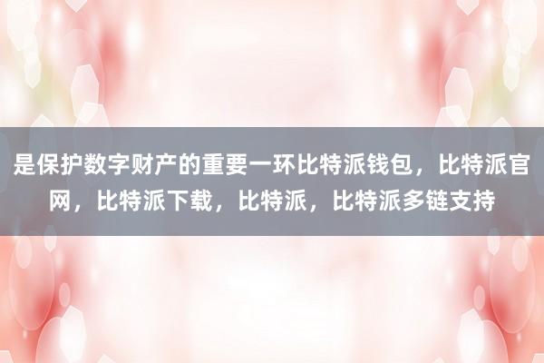 是保护数字财产的重要一环比特派钱包，比特派官网，比特派下载，比特派，比特派多链支持