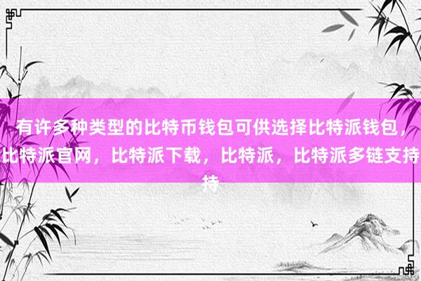 有许多种类型的比特币钱包可供选择比特派钱包，比特派官网，比特派下载，比特派，比特派多链支持