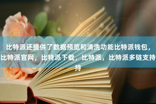 比特派还提供了数据预览和清洗功能比特派钱包，比特派官网，比特派下载，比特派，比特派多链支持