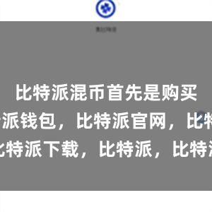 比特派混币首先是购买费用比特派钱包，比特派官网，比特派下载，比特派，比特派多链支持