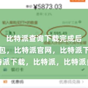 比特派查询下载完成后比特派钱包，比特派官网，比特派下载，比特派，比特派多链支持