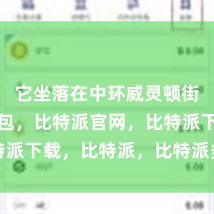 它坐落在中环威灵顿街比特派钱包，比特派官网，比特派下载，比特派，比特派多链支持