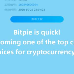 Bitpie is quickly becoming one of the top choices for cryptocurrency enthusiasts worldwide.比特派钱包，比特派官网，比特派下载，比特派，比特派多链支持