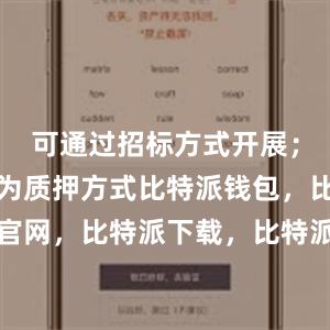 可通过招标方式开展；发放方式为质押方式比特派钱包，比特派官网，比特派下载，比特派，比特派多链支持