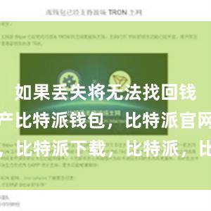 如果丢失将无法找回钱包里的资产比特派钱包，比特派官网，比特派下载，比特派，比特派多链支持