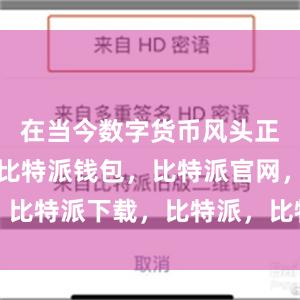 在当今数字货币风头正劲的时代比特派钱包，比特派官网，比特派下载，比特派，比特派多链支持