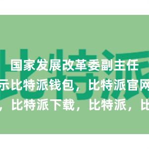 国家发展改革委副主任赵辰昕表示比特派钱包，比特派官网，比特派下载，比特派，比特派多链支持